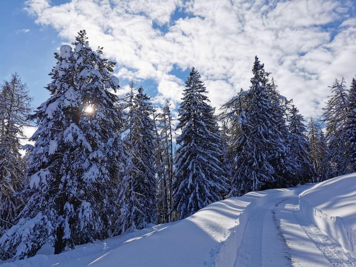 Ferienhaeuser Troester Bad Kleinkirchheim Dış mekan fotoğraf