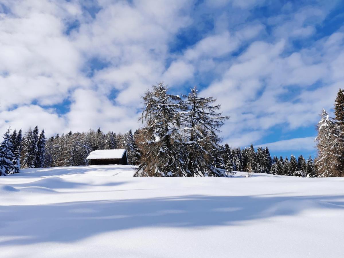 Ferienhaeuser Troester Bad Kleinkirchheim Dış mekan fotoğraf