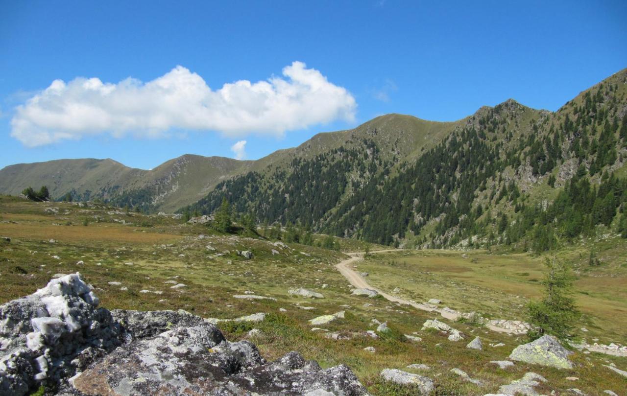 Ferienhaeuser Troester Bad Kleinkirchheim Dış mekan fotoğraf