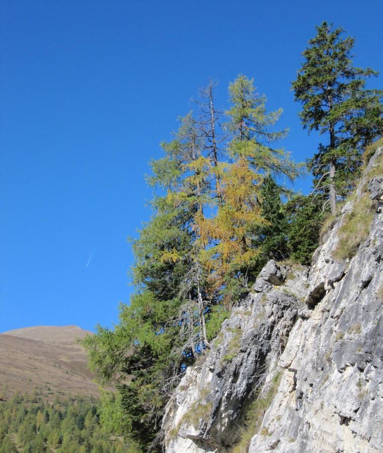 Ferienhaeuser Troester Bad Kleinkirchheim Dış mekan fotoğraf