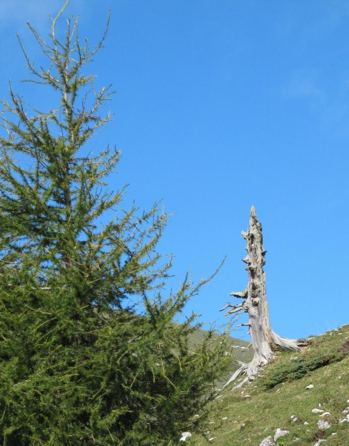 Ferienhaeuser Troester Bad Kleinkirchheim Dış mekan fotoğraf