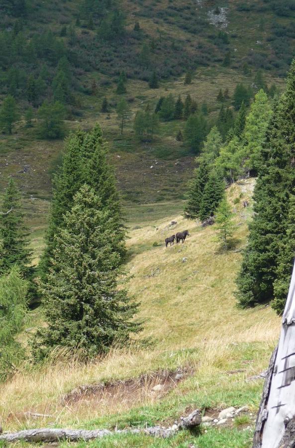 Ferienhaeuser Troester Bad Kleinkirchheim Dış mekan fotoğraf