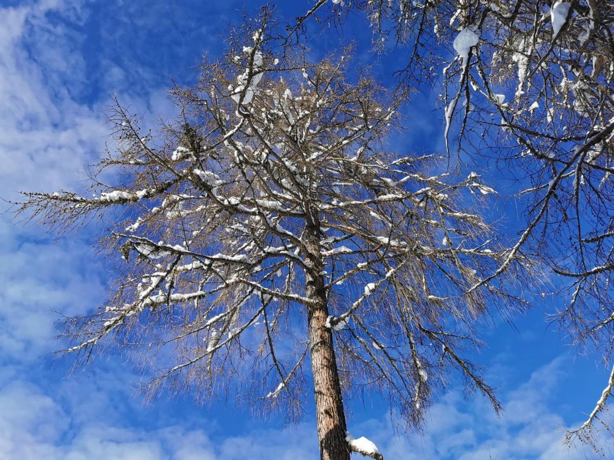 Ferienhaeuser Troester Bad Kleinkirchheim Dış mekan fotoğraf