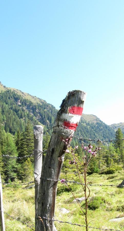 Ferienhaeuser Troester Bad Kleinkirchheim Dış mekan fotoğraf