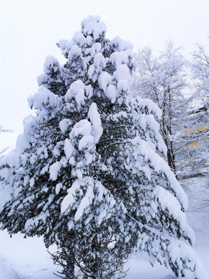 Ferienhaeuser Troester Bad Kleinkirchheim Dış mekan fotoğraf