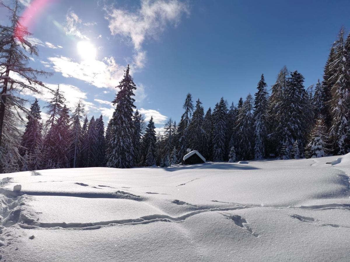 Ferienhaeuser Troester Bad Kleinkirchheim Dış mekan fotoğraf